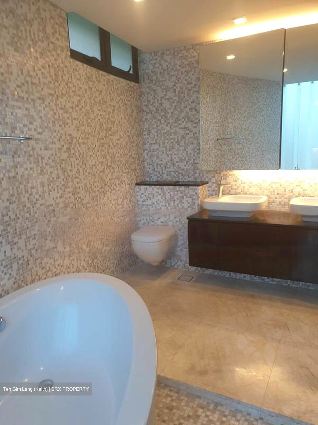 Oei Tiong Ham Park Residences (D10), Apartment #477261531